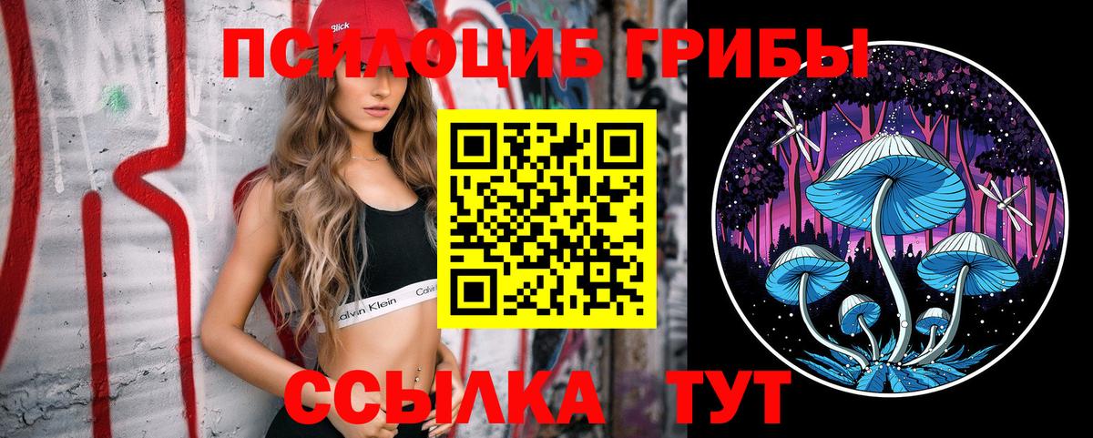 Псилоцибиновые грибы Cubensis  Вход с VPN  купить  цена  Омск 