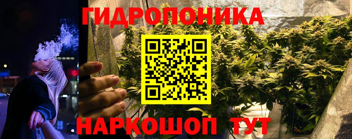 Канабис MAZAR  Конопля White Widow  Конопля тримм  Вход с VPN  Омск 